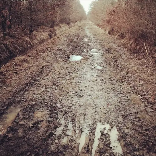 Ma sortie de dimanche dernier ressemblait étrangement à un terrain de cross-country...