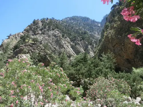 gorges samaria laurier