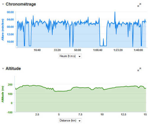 graphiques Garmin Connect