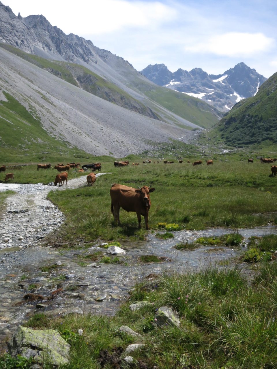 montagne trail paysage