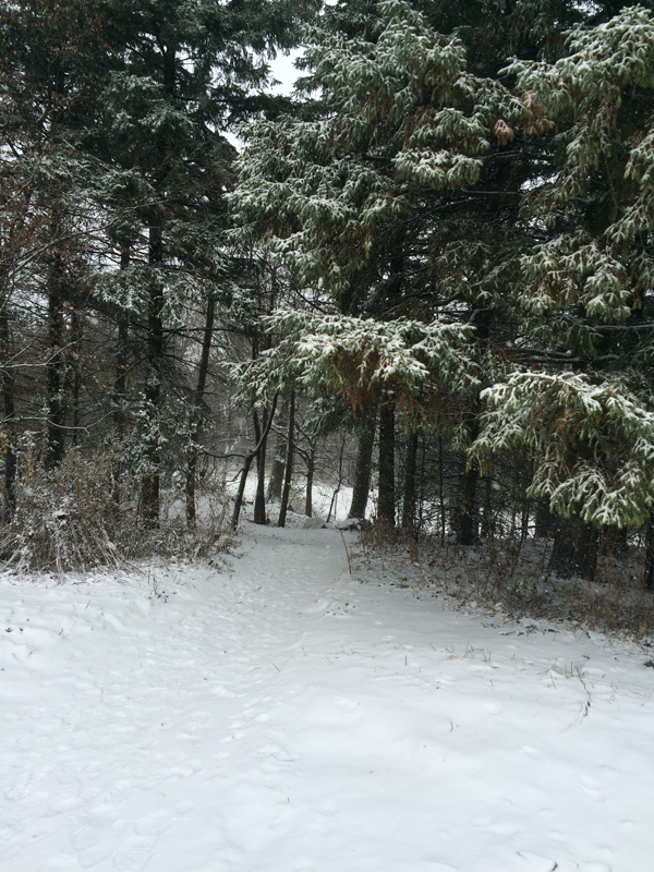 Courir un week end choc au Mont Royal dans la neige