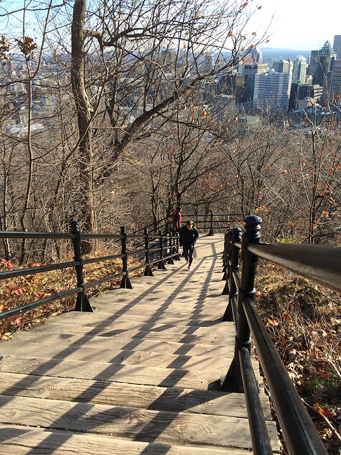 Courir le tour du mont royal et profiter des paysages de montreal depuis le chalet