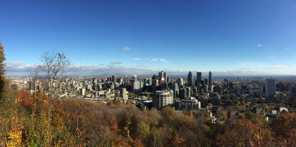 Courir le tour du mont royal et profiter des paysages de montreal depuis le chalet