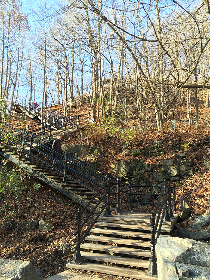 Courir le tour du mont royal et profiter des paysages de montreal depuis le chalet