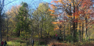 Tour du Mont Royal en courant, le bonheur Courir le tour du mont royal et profiter des paysages de montreal depuis le chalet
