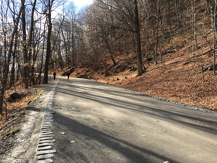 Faire le tour du Mont Royal en course a pied et découvrir les paysages de Montreal