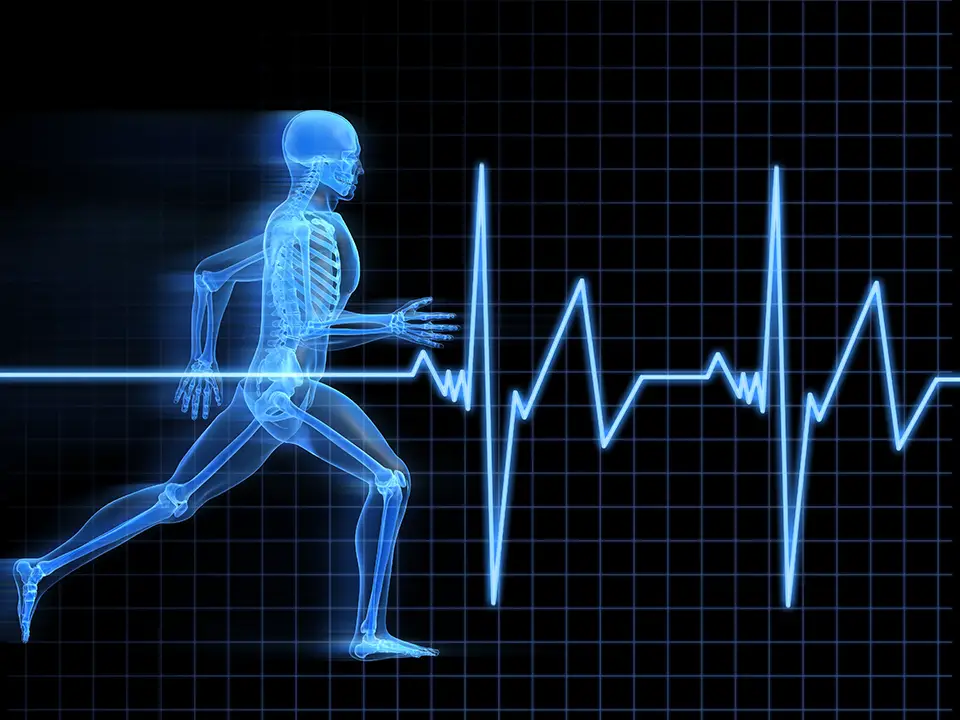 montre-cardiofrequencemetre-course-a-pied montre cardiofréquencemètre pour la course à pied et le running