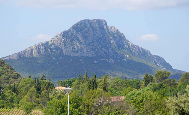 Festa-Trail-Pic-Saint-Loup_4