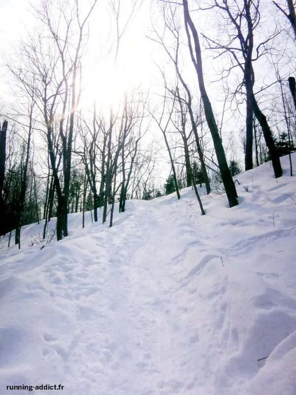 Le Mont-Royal lieu d'entraînement idéal
