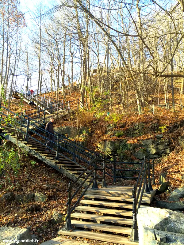 Le Mont-Royal lieu d'entraînement idéal