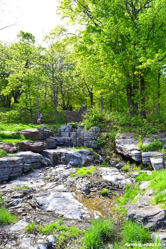 Le Mont-Royal lieu d'entraînement idéal