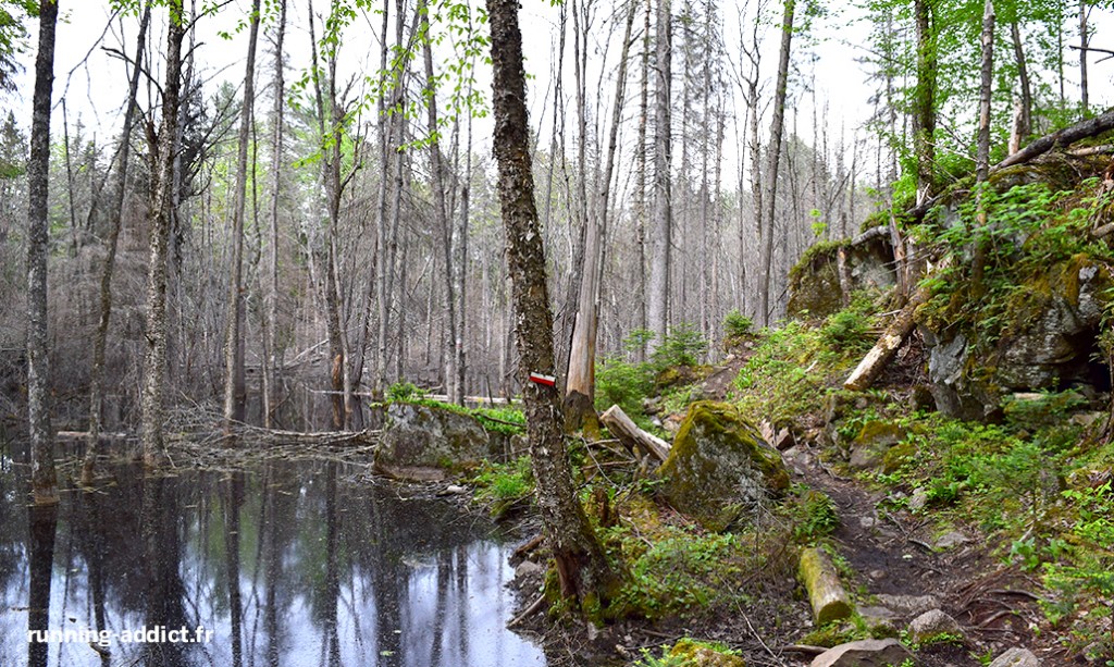 courir en mauricie