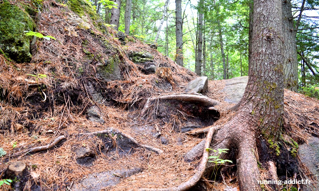 courir en mauricie
