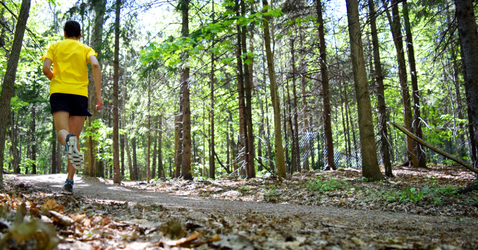 Progresser en course à pied s'envisage sur le long terme