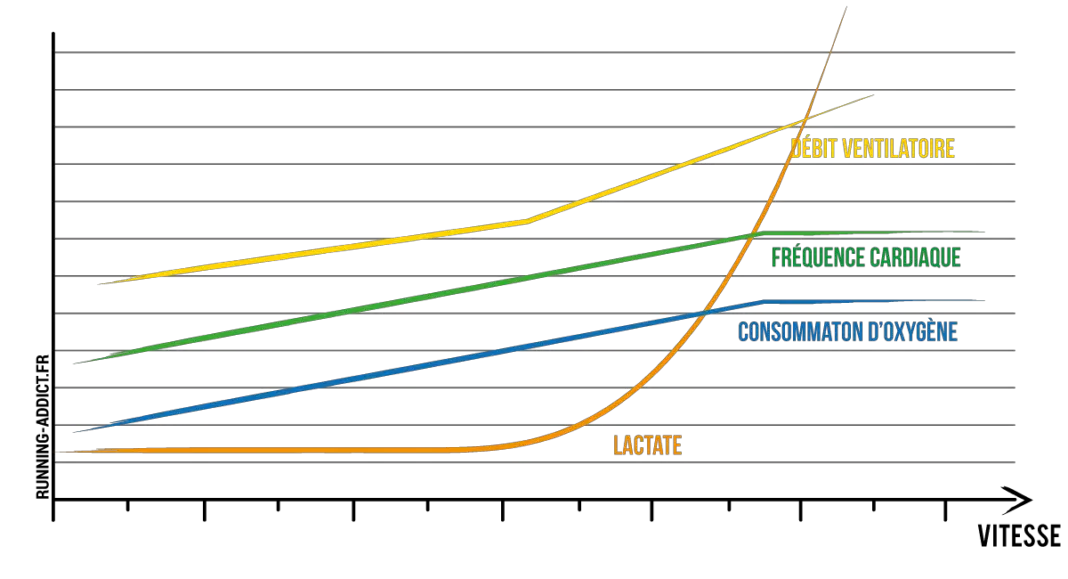 Vitesse datation timing