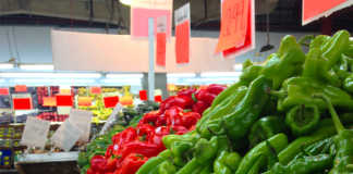 Nutrition Running Addict : Alimentation et performance sont liées !