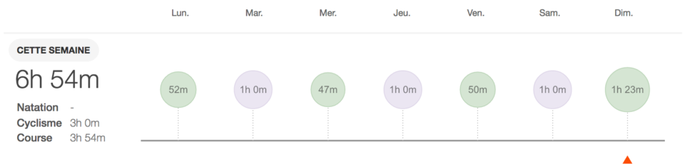 graphique strava de ma prépa marathon de paris
