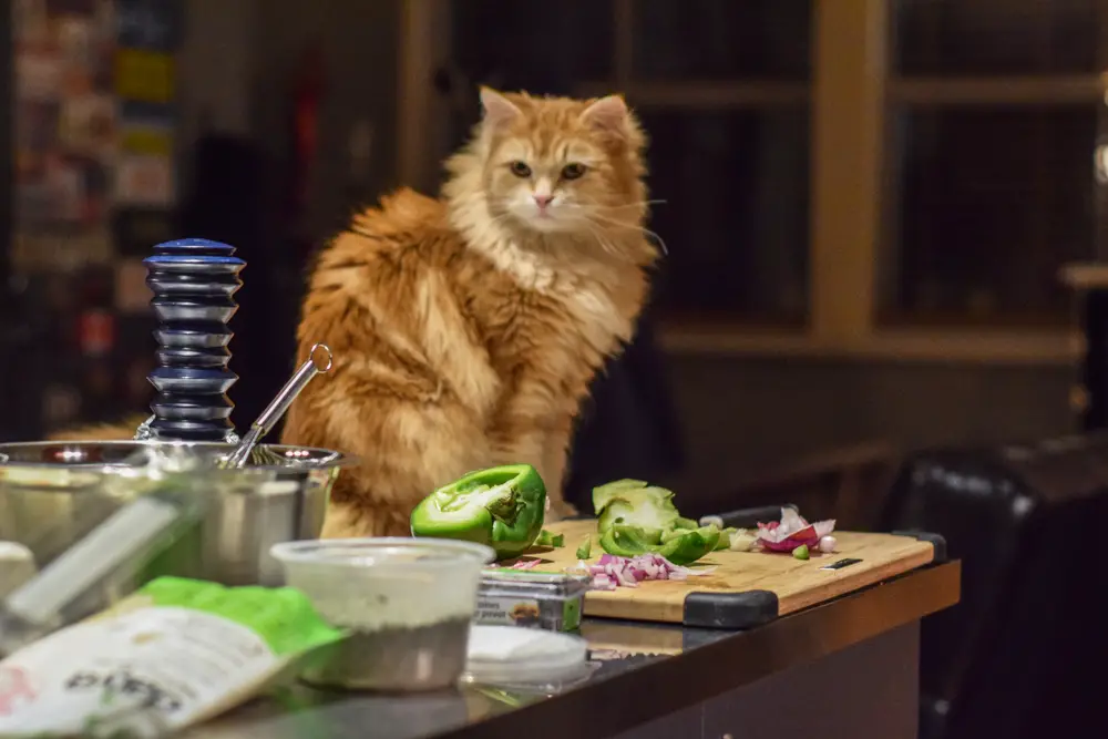 Compléments alimentaires en course à pied : juste du business ?