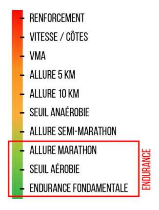 Quel programme d'entrainement course à pied est le plus efficace pour progresser ?