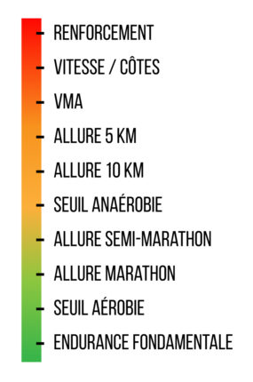 Quel programme d'entrainement course à pied est le plus efficace pour progresser ?