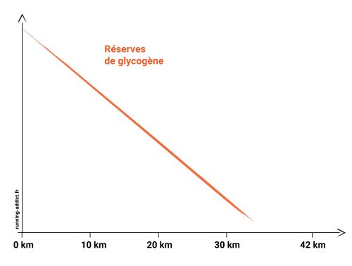 cause du mur du marathon énergétique : réserves de glycogène vides