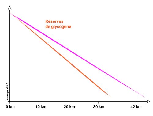 conseils pour éviter le mur du marathon énergétique : réserves de glycogène vides