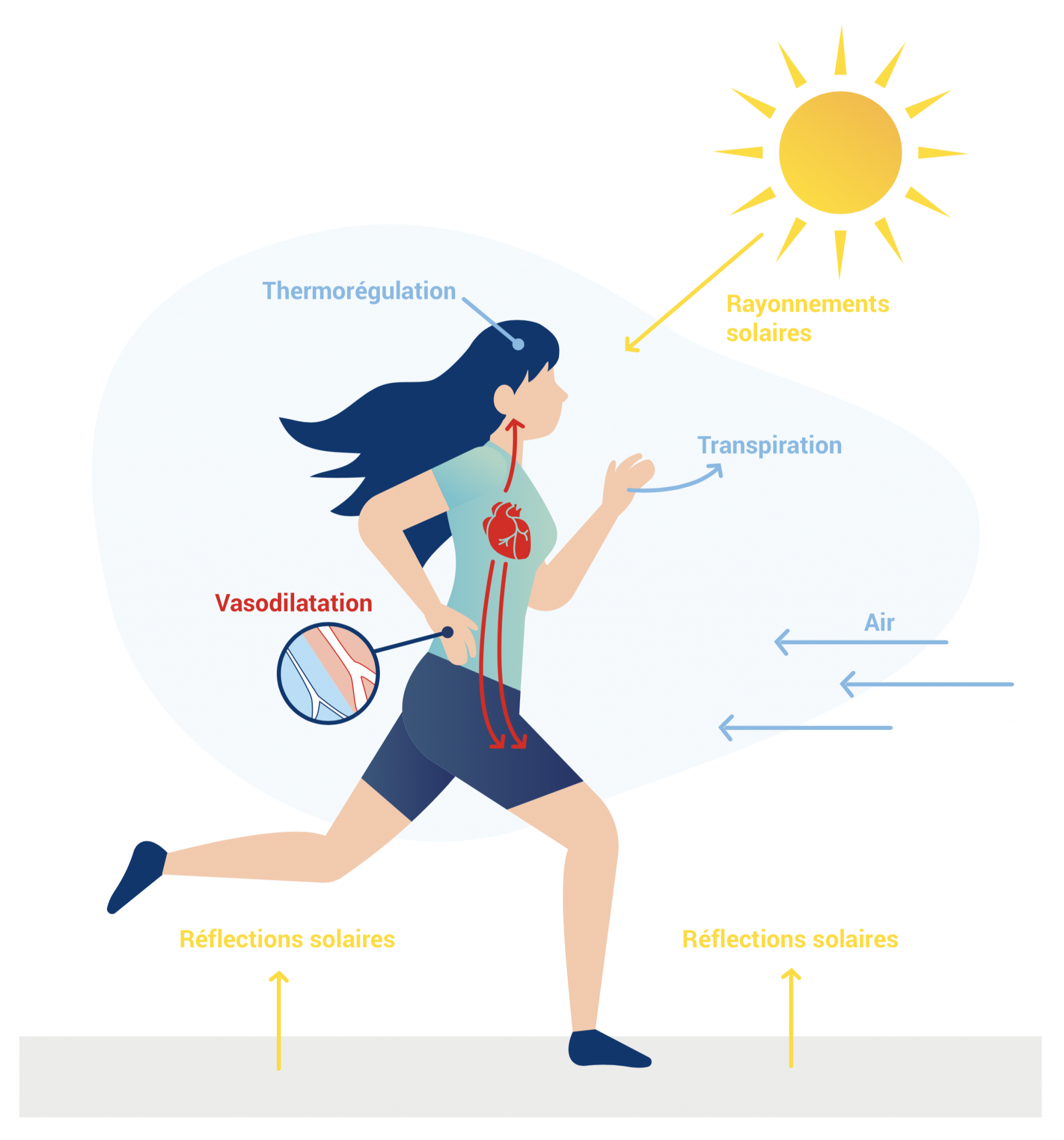 Conseils pour courir l’été, s’adapter la chaleur et rester performant