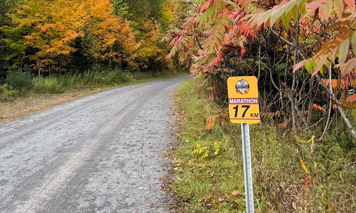 Comment courir un marathon : 10 conseils pour réussir sa course !