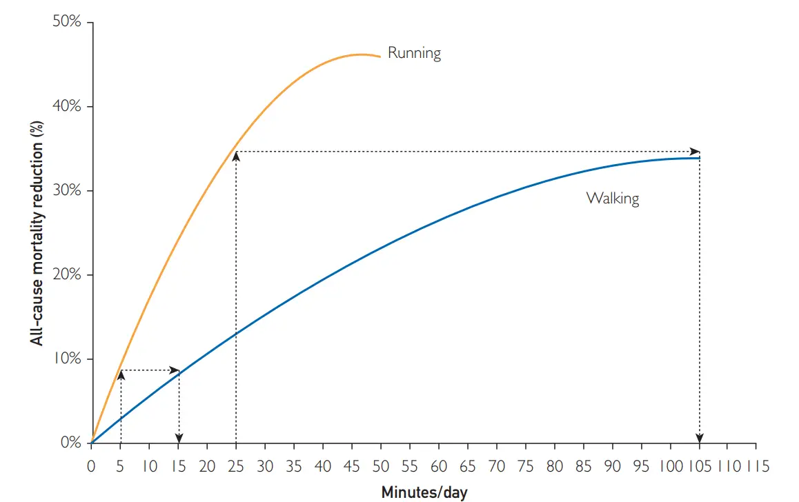 Courir fait vivre plus longtemps en bonne santé (prouvé par la science)
